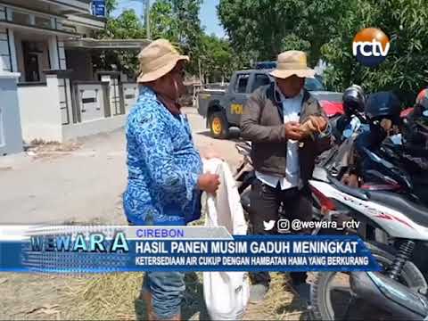 Hasil Panen Musim Gaduh Meningkat