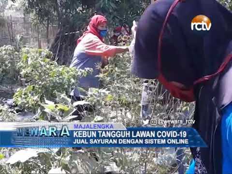 Kebun Tangguh Lawan Covid-19