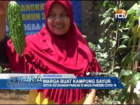 Warga Buat Kampung Sayur