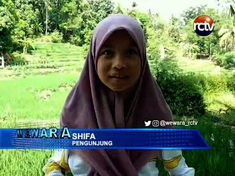 Potensi Wisata Sawah Kembang
