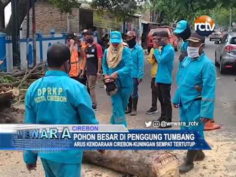 Pohon Besar di Penggung Tumbang