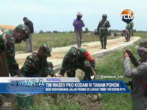 Tim Wasev PKO Kodam IV Tanam Pohon