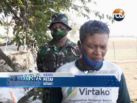 Satgas TMMD 0715 Bantu Petani Bawang Berikan Pupuk Organik