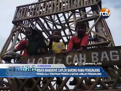 Wisata Mangrove Caplok Barong Ramai Pengunjung