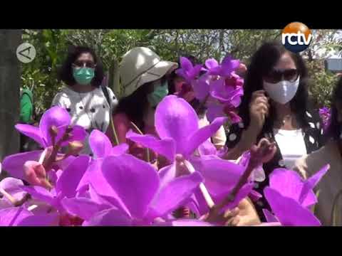 Agrowisata Anggrek Destinasi Baru Wisatawan di Denpasar