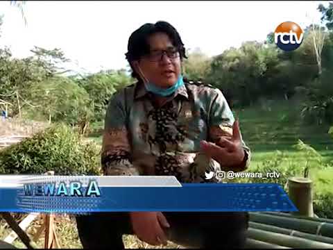 Sawah Kembang Perlu Pengembangan Lanjutan