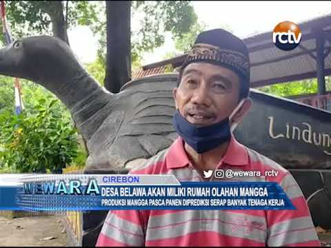 Desa Belawa Akan Miliki Rumah Olahan Mangga