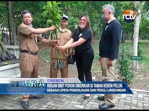 Ribuan Bibit Pohon Diberikan di Taman Kebon Pelok