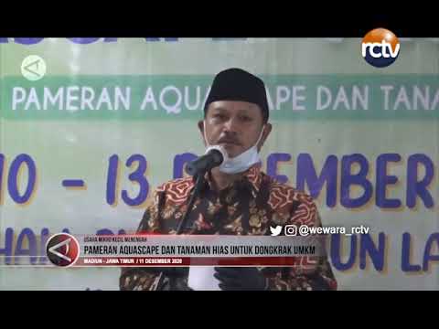 Pameran Aquascape dan Tanaman Hias untuk Dongkrak UMKM Pameran Aquascape dan Tanaman Hias untuk Dongkrak UMKM