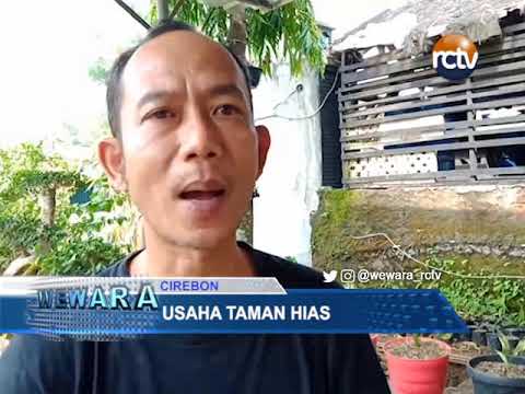 Model Taman Jepang Dan Cina Banyak Diminati