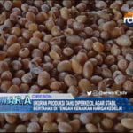 Ukuran Produksi Tahu Diperkecil agar Stabil