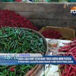 Harga Cabai Rawit Setan Masih Tinggi Karena Minim Pasokan