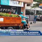 DPRKP Rapikan Pohon Jalan Bahagia