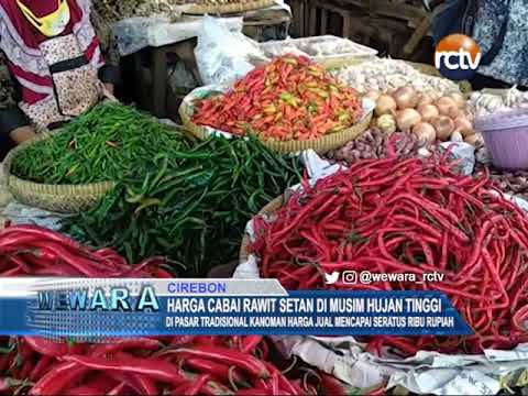 Harga Cabai Rawit Setan di Musim Hujan Tinggi