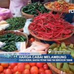 Harga Cabai Melambung