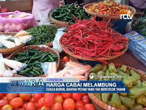 Harga Cabai Melambung