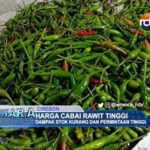 Harga Cabai Rawit Tinggi