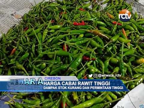 Harga Cabai Rawit Tinggi