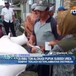 25 Ribu Ton Alokasi Pupuk Subsidi Urea