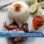 Suguhkan Kafe Bernuansa Alam