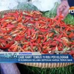 Cabe Rawit Tembus 70 Ribu Per Kilogram