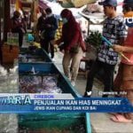 Penjualan Ikan Hias Meningkat