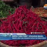 Harga Cabai Rawit Dipasaran Mahal