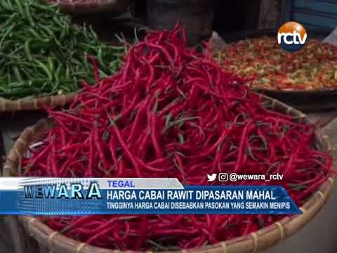 Harga Cabai Rawit Dipasaran Mahal