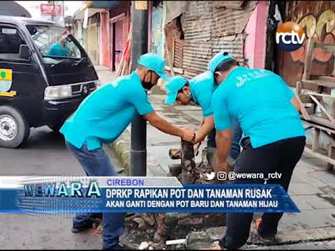 DPRKP Rapikan Pot Dan Tanaman Rusak