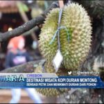 Destinasi Wisata Kopi Durian Montong