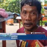 Harga Kacang Kedelai Naik Berdampak pada Pedagang Gorengan