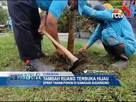 Tambah Ruang Terbuka Hijau, DPRKP Tanam Pohon Di Kawasan Sudarsono