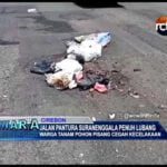 Jalan Pantura Suranenggala Penuh Lubang