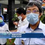 Tanam Sayuran di Halaman Kantor dan Rumah