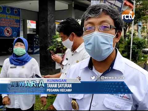 Tanam Sayuran di Halaman Kantor dan Rumah