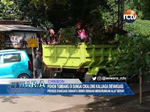 Pohon Tumbang di Sungai Cikalong Kalijaga Dievakuasi