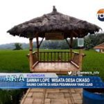 Sawah Lope Wisata Desa Cikaso