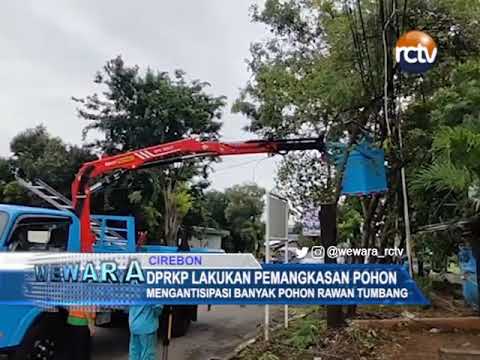 DPRKP Lakukan Pemangkasan Pohon