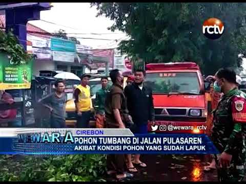 Pohon Tumbang di Jalan Pulasaren