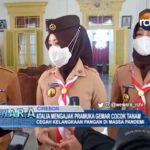 Atalia Mengajak Pramuka Gemar Cocok Tanam