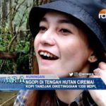 Ngopi di Tengah Hutan Ciremai