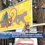Objek Wisata Leuweung Monyet Kuningan