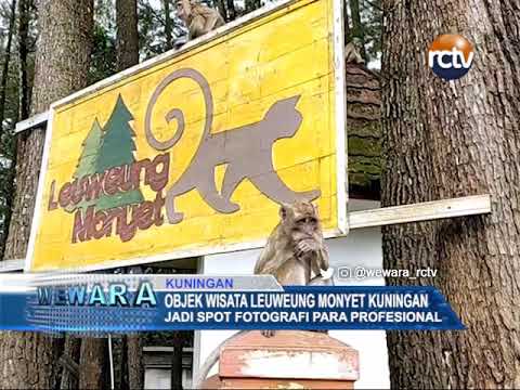 Objek Wisata Leuweung Monyet Kuningan