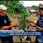 Desa Japara Ciptakan Galeri Bonsai