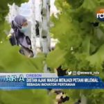 Distan Ajak Warga Menjadi Petani Milenial