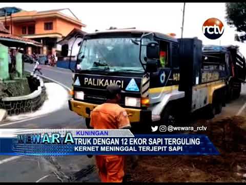 Truk Dengan 12 Ekor Sapi Terguling