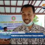 Pemerintah Harus Perhatikan Tenaga Honorer