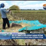 Bulog Diminta Bisa Serap Gabah Petani