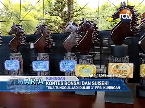 Kontes Bonsai Dan Suiseki