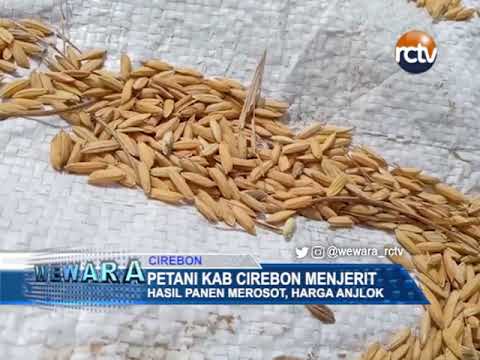 Hasil Panen Merosot, Harga Anjlok